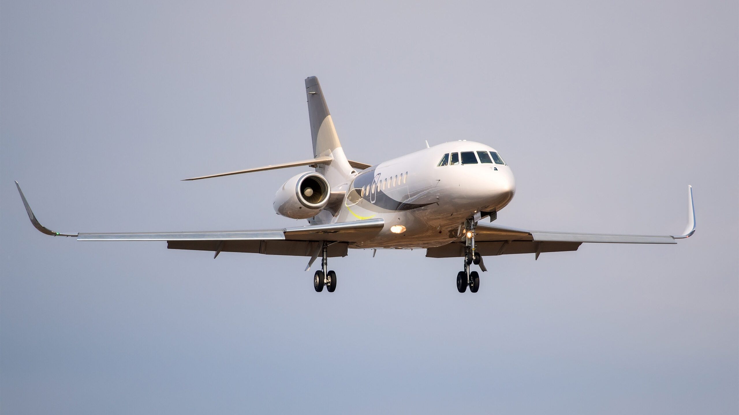 Moscow, Russia - September 05, 2014: Dassault Falcon 2000LX OE-HAM landing at the Vnukovo International airport.